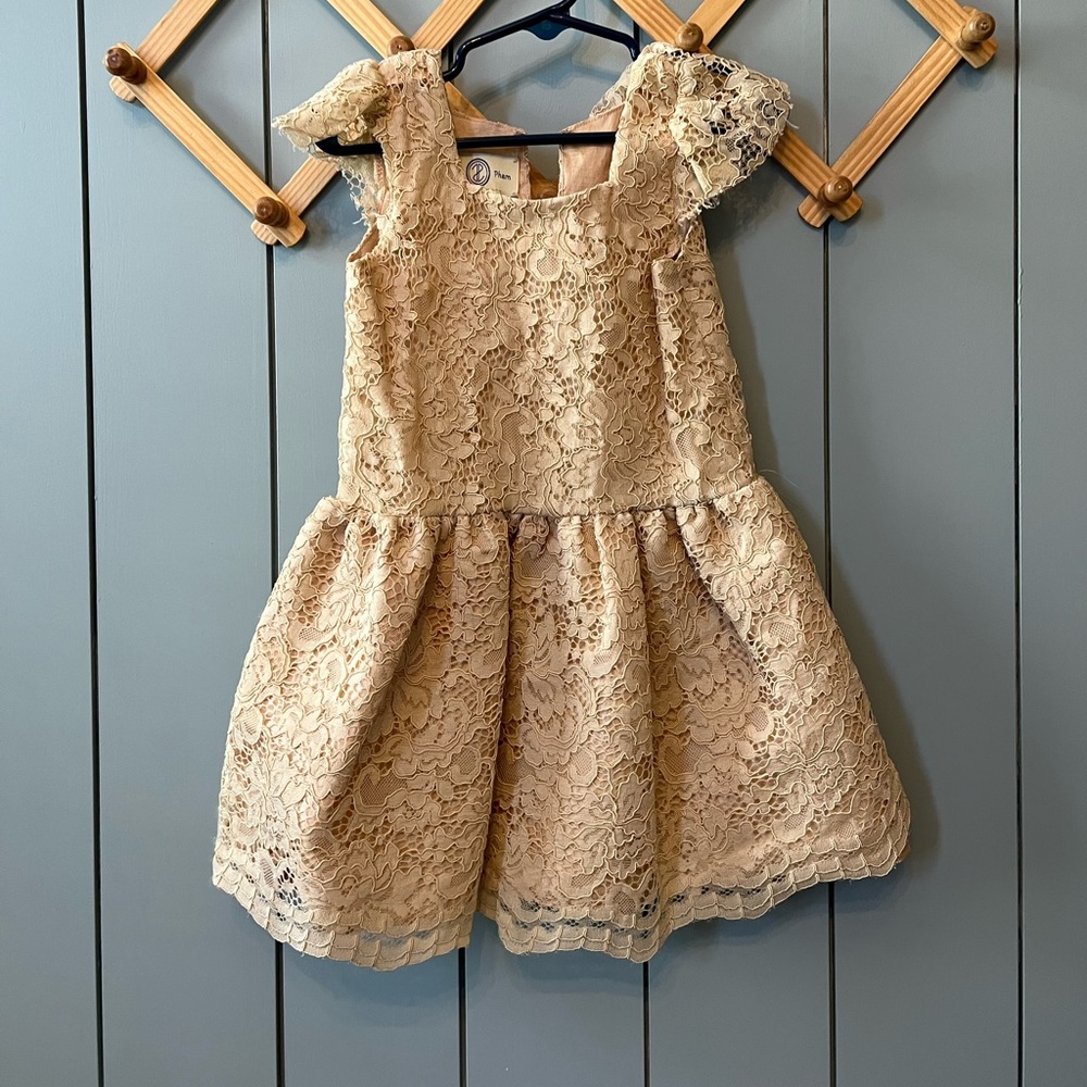 Theresa Pham dress size 3t EUC